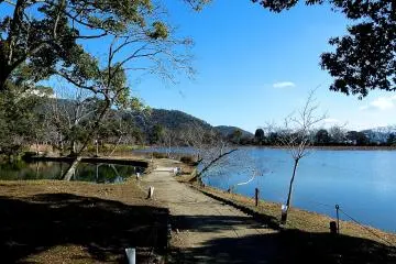 <p>Path along the pond</p>