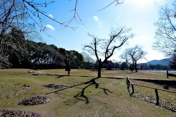 <p>Wide-open field on the north side of the pond</p>