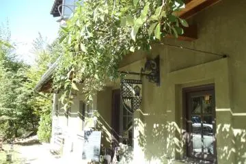 Ivy off the roof