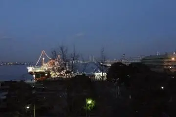 Gorgeous night view!