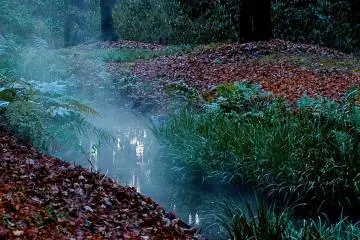 <p>Tadasu-no-mori is the source of spring water</p>
