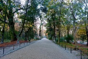 <p>The long approach to Shimogamo Jinja Sharine</p>