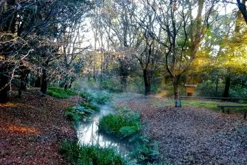 <p>Fresh morning</p>