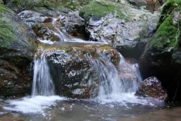 <p>น้ำที่กำลังเคลื่อนไหว</p>