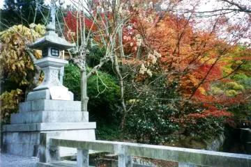 <p>Stone Lantern and Autumn Leaves at Mount Koya</p>