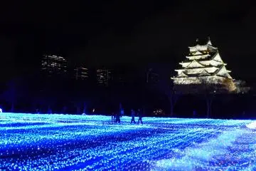 <p>ทุ่งหญ้าไฟ Led สีน้ำเงิน</p>