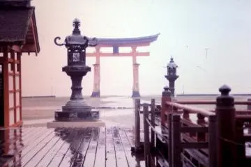 มิยาจิม่า 