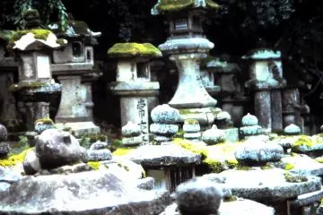 <p>The ancient stone lanterns stand in line</p>