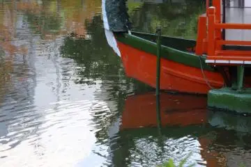 <p>Dragonboat</p>
