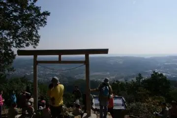 Gallery image