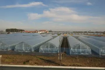 A picture of&nbsp;Ichigo No Sato Farm taken from the bus