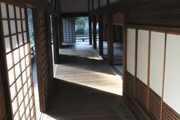 <p>There are many wood walkways like this one in each building</p>