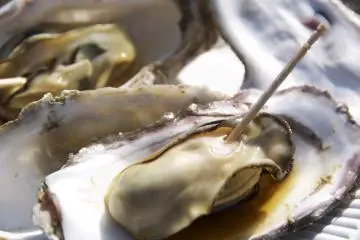 Miyajima Oysters (Photo:  Miyajima Oyster Festival – <a href="https://creativecommons.org/licenses/by-nc/2.0/" target="_blank" rel="noreferrer noopener nofollow">GetHiroshima.com</a> / <a href="https://creativecommons.org/licenses/by-nc/2.0/" target="_blank" rel="noreferrer noopener nofollow">CC BY-NC 2.0</a>)