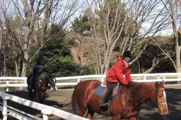 <p>Horse riding by a club member</p>