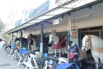 <p>Pony Center&nbsp;stable</p>