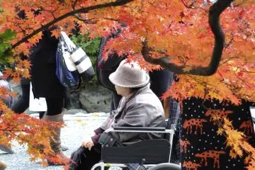 <p>Everyone was enjoying the day</p>