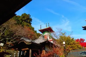 <p>Looking up at the Pagoda</p>