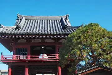 The view of Jonen-ji gate from inside the temple