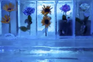 Tout à l'intérieur (le mur, le bar, les tables, banquettes...) est fait à 100% de glace.