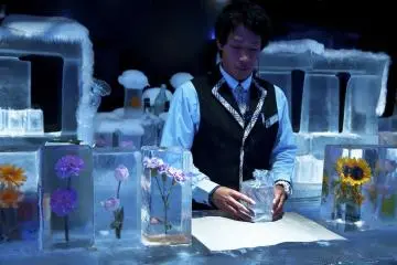 Le barman