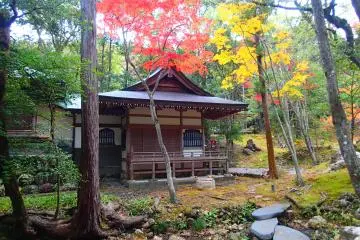 <p>Temple grounds on fire with autumn color</p>