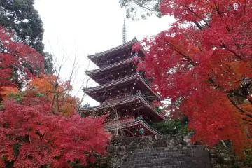 <p>Five story pagoda</p>