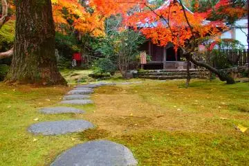 <p>Temple garden</p>