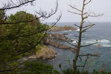 <p>The view from the summer camp ground.</p>