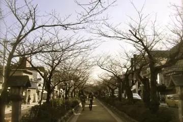 <p>บรรยากาศถนนนอก วัดโคโตกุอิน</p>