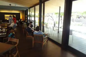 Looking out onto the porch and pool
