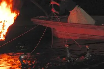 Amazing rope handling by a female cormorant fishing master