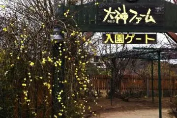 The farm's entrance