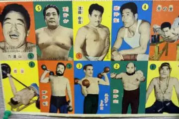 <p>A collection of tradable sumo menko cards.&nbsp;</p>
