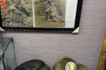 <p>Baseball&nbsp;and other sports&nbsp;memorabilia will excite sports fans.&nbsp;</p>