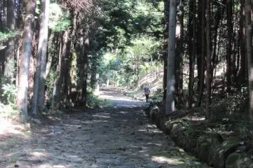 A hiker