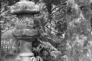 In one of the gardens