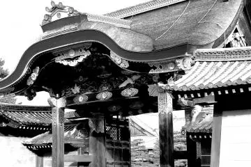 The Beauty of Nijo-jo Castle - 1