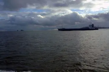 <p>Just as the cruise ship is about to turn around back to port, riders get a glimpse of the Pacific Ocean. Occasionally, massive transport ships pass through the area.&nbsp;</p>