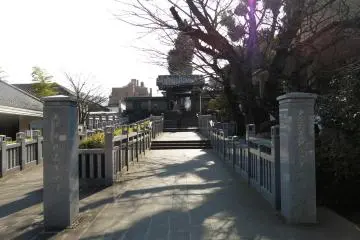 <p>Chizome (blood stained) Plum Tree and Stone. Story has it that when Asano Takuminokami committed seppuku in the garden of Tamura's residence, his blood gushed out, staining this tree and stone</p>