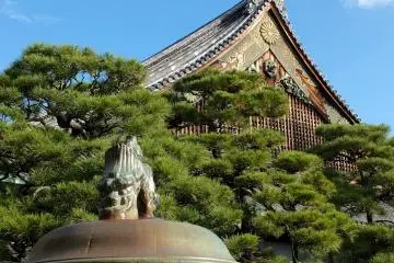 <p>Clear blue sky at Nijo-jo&nbsp;Castle in autumn</p>
