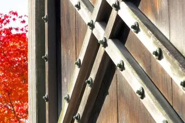 <p>A nice combination of the brown of a door&nbsp;and some red foliage</p>