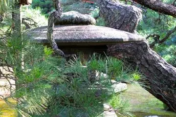 <p>A quiet place of tranquility</p>