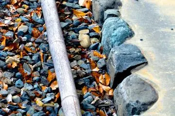 <p>A neglected piece of bamboo&nbsp;</p>