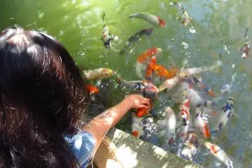 Feeding friendly fish from my fingers (Photo: Deli)