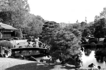 <p>The Japanese garden</p>
