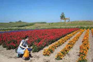 Despite Hokkaido's fame for dairy and meat, it is a paradise for vegetable produce as well