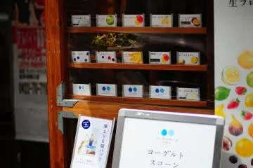 Gallery image