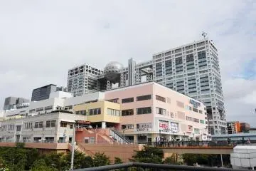 Gallery image
