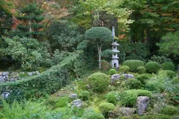 Beautiful Temple Garden
