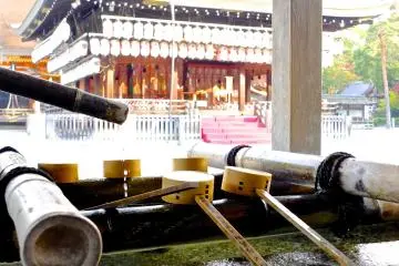 <p>In the early morning, before the large crowds begin to arrive</p>